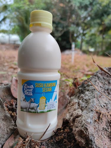 Susu Kambing AANASR