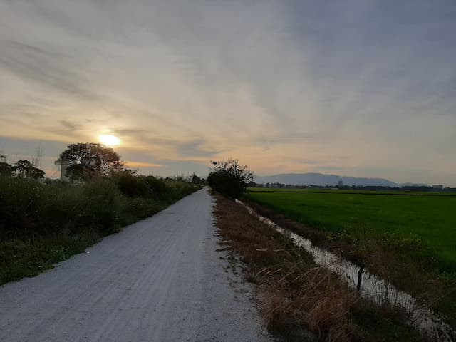 Permatang Pauh