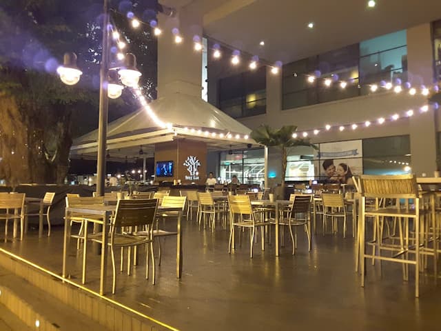 Tree Bar