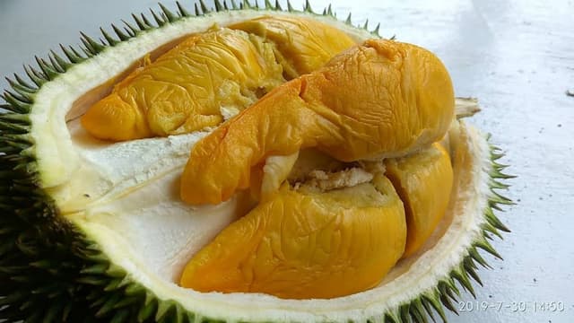 Durian Hamna (PORT KAKI DURIAN)